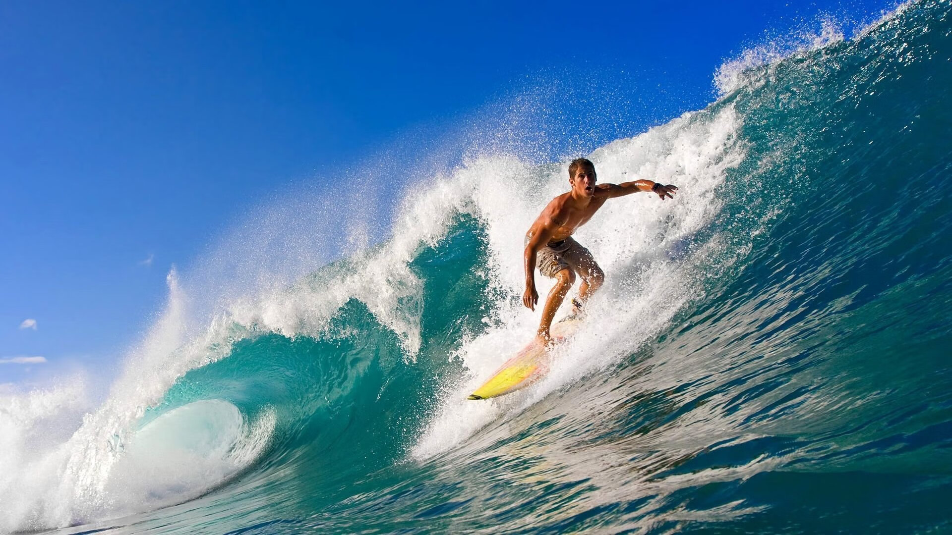 爱游戏在线娱乐官网-弗朗索瓦·霍尔茨豪伊泽：南非队背后英雄，一手掌控攻防节奏，弗郎恩霍夫